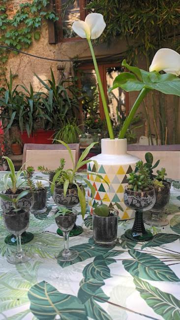 Les Deux Arches Bed and Breakfast Caunes-Minervois Εξωτερικό φωτογραφία